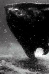 宇宙エイボスタング